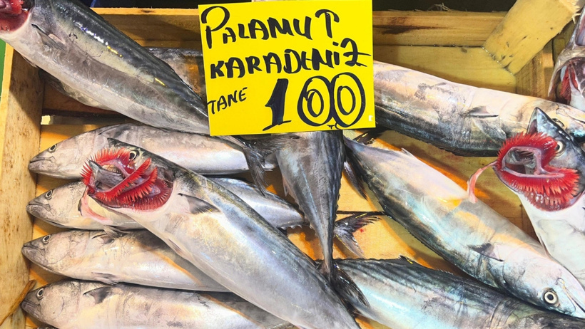 En ucuz palamut bu şehirde kapış kapış satılıyor: Yarım ekmek dönerden bile ucuz! - Resim : 2
