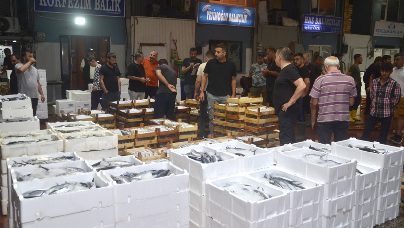Av yasağı bitti, sezonun ilk balık mezatı yapıldı: Fiyatlar belli oldu! - Resim : 3