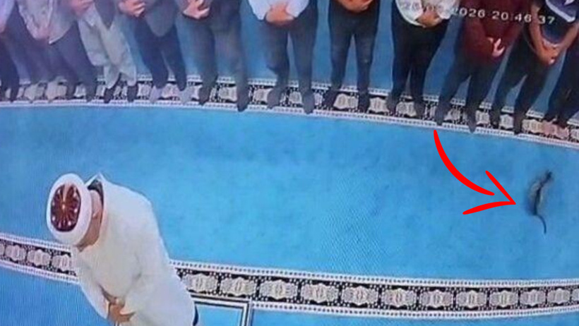 Camide namaz kılarken kedi tekmeleyen kişi gözaltına alındı - Resim : 1