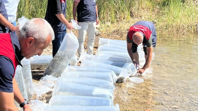 Görevliler saatlerce uğraştı: Şeffaf poşetlerle taşıdılar, tam 450 bin tane! - Resim : 1