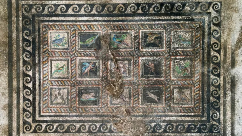 Adramytteion Araştırmaları