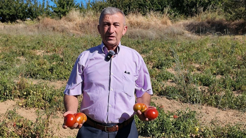 Yetiştirirken bir damla bile sulamıyorlar: 1 ay boyunca tazeliğini koruyor - Resim : 2