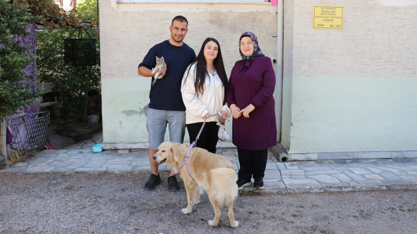 Terkedilen yavru kediye annelik yapmaya başladı: Sırtında taşıyor, kimseyi yanına yaklaştırmıyor - Resim : 1