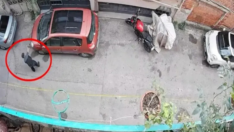 Kucağındaki kediyi yere vurdu! Çığlıları kamera kaydetti: Saldırgan gözaltına alındı - Resim : 1