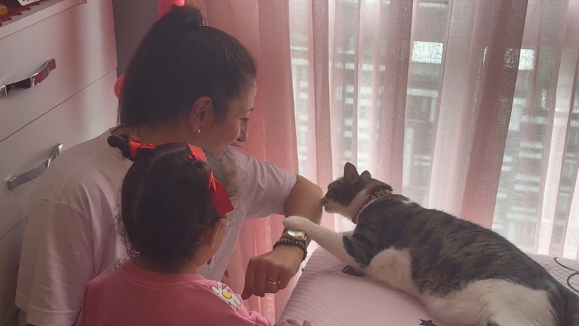 Görüntüleri izleyince şoke oldu! 4 hırsızı 1 kedi engelledi - Resim : 4