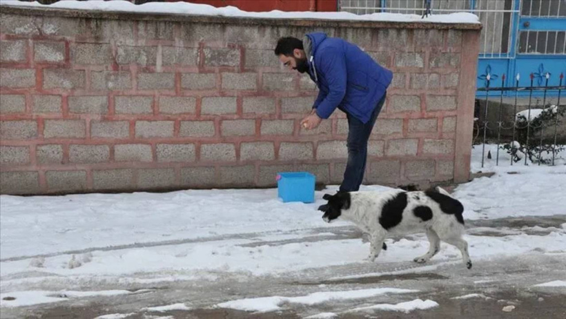 Merhameti yasaklamışlardı! O karar iptal edildi - Resim : 3