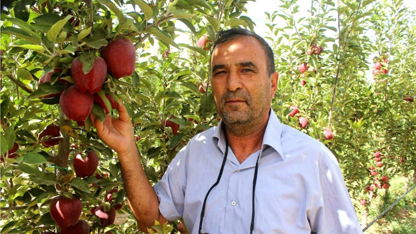 Geçen yıl don vurmuştu, bu sene rekor kırdı: Kamyonlara yükleyip doğrudan yurt dışına gönderiyorlar - Resim : 2