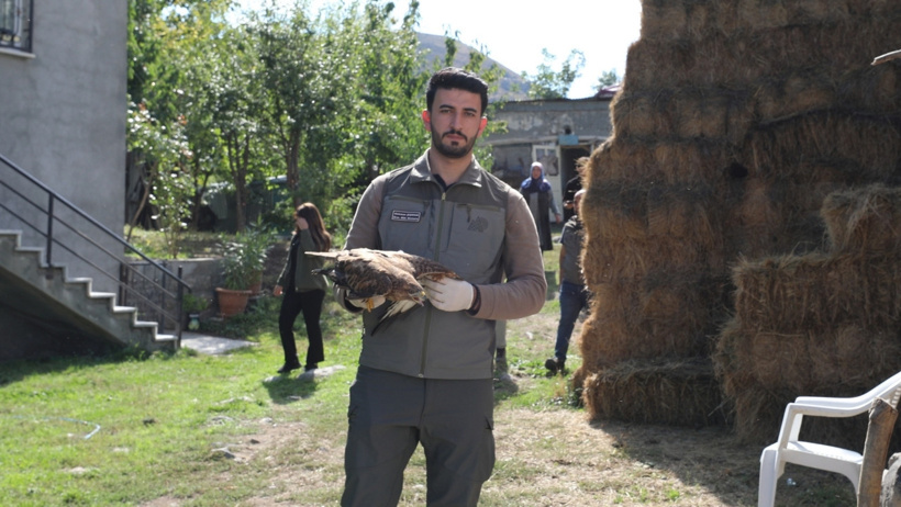 Gökten şahin yağıyor: Yaralı buldukları yırtıcıları evlerinde beslediler - Resim : 5