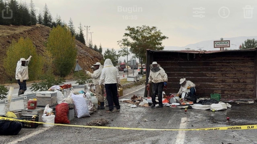 Bal ve arı yüklü koca kamyonet devrildi: Ekipler tek tek topladı, 3 kişi yaralandı! - Resim : 1