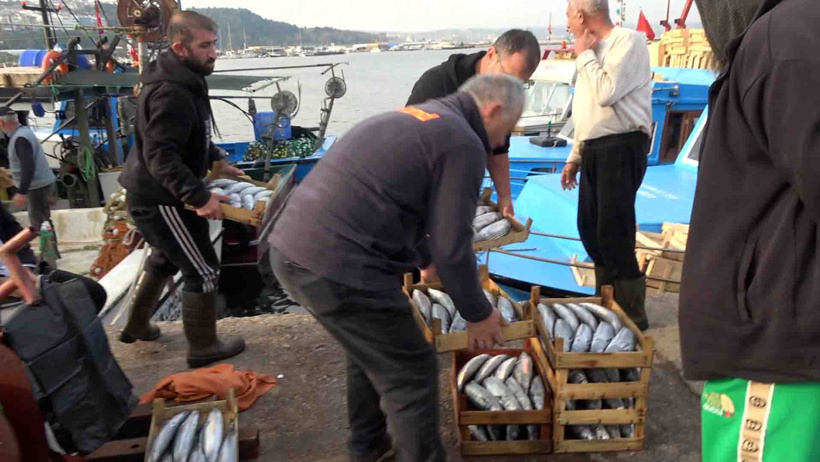 Karadeniz Karadeniz olalı böyle akın görmedi: Kasa kasa tuttular kasasını 600 liraya sattılar - Resim : 3