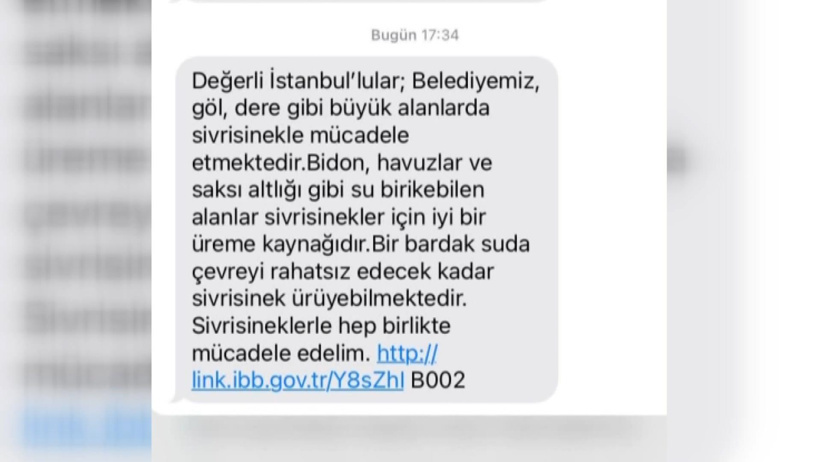 istanbulda-sivrisinek-kabusu-buyuyor-ibb-sms-ile-uyardi-6505-dhaphoto6.jpg