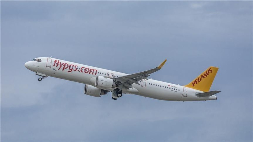 pegasus-3.jpg