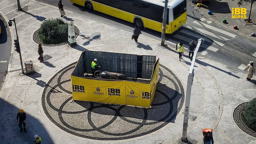 kadikoybogasi.jpg