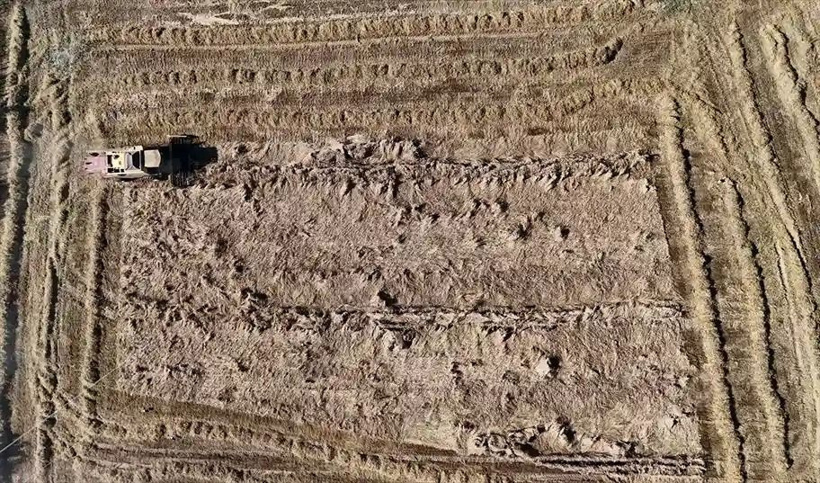 Uzun yıllardır böylesi görülmedi! 400 bin tonun üzerine çıktı - Fotoğraf: 4