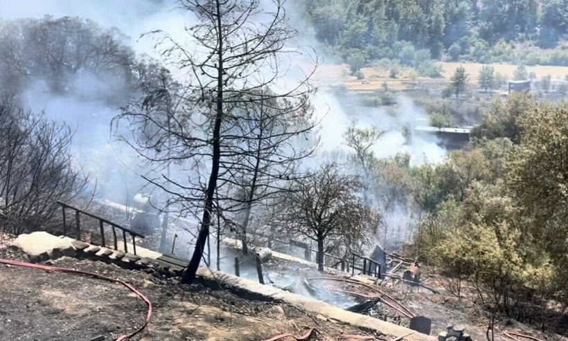 Son dakika | Beş ilde orman yangını: Antalya ve Muğla'dan korkutan görüntüler - Resim : 5