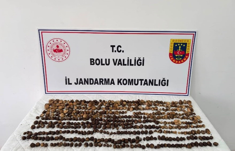 Yabani salep topladılar servet gibi ceza yediler! - Resim : 1