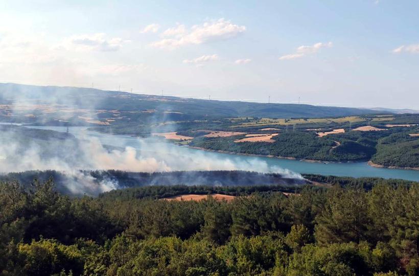 Valilik duyurdu: Kırklareli'de ormanlara giriş yasaklandı - Resim : 1
