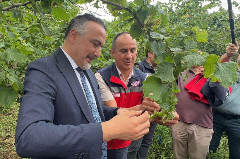 Bakanlık bin tanesini cam tüplerden doğaya saldı: Büyük savaşı başlattı - Resim : 3