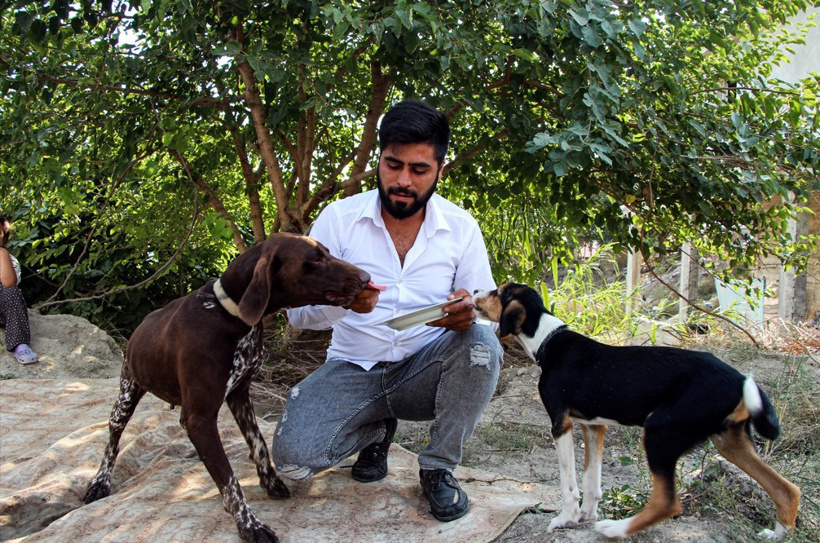 Köpeği sopayla darbeden şüpheli ifadesinin ardından serbest bırakıldı - Resim : 1