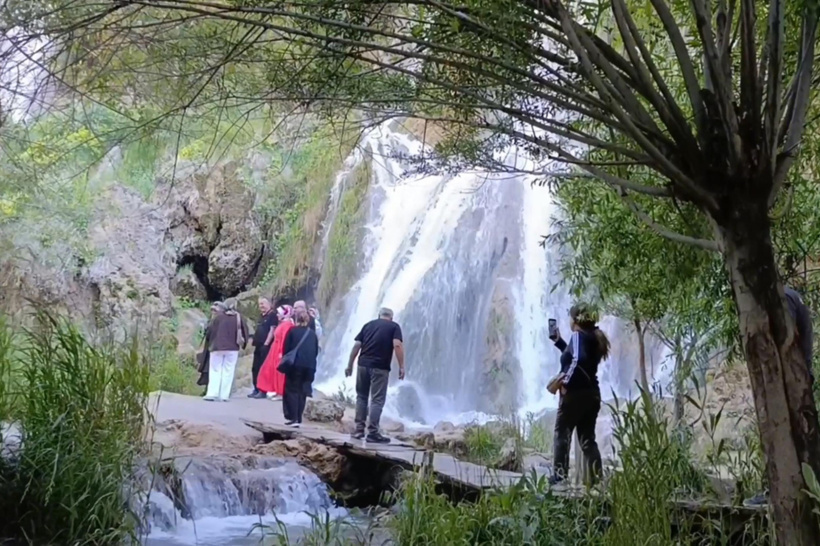 Türkiye'nin saklı cenneti keşfedildi! Almanya'dan Erzincan'a onun için getirdiler - Resim : 4