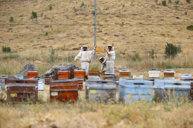 Bingöl'ün meşhur lezzetine talep arttı: 26 yıldır yayla yayla geziyorlar - Fotoğraf: 3