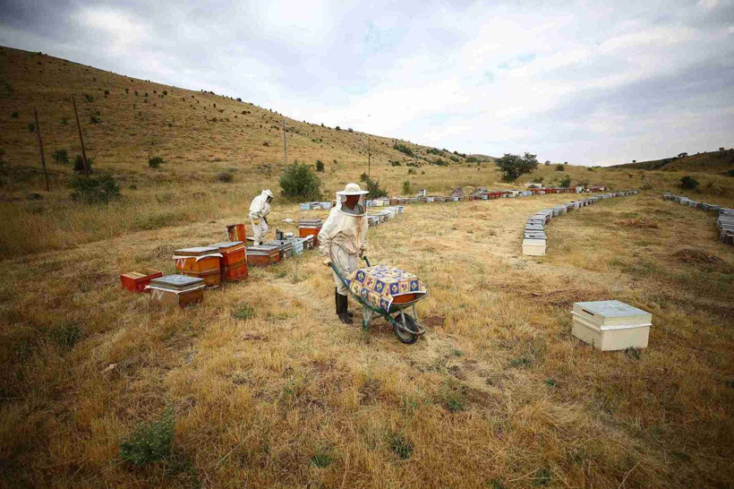 Bingöl'ün meşhur lezzetine talep arttı: 26 yıldır yayla yayla geziyorlar - Fotoğraf: 2