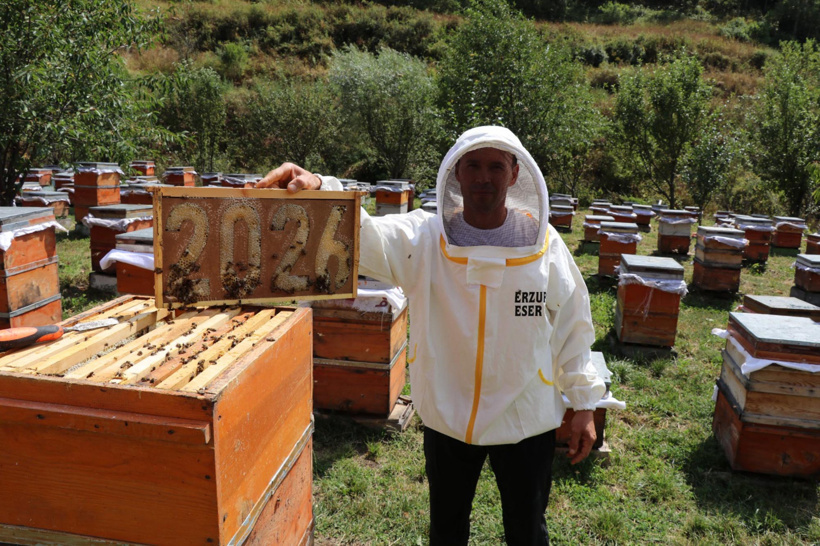 Kışın kas yapıyor, yazın kovanların peşinden koşuyor: Hedef 10 ton! - Fotoğraf: 8