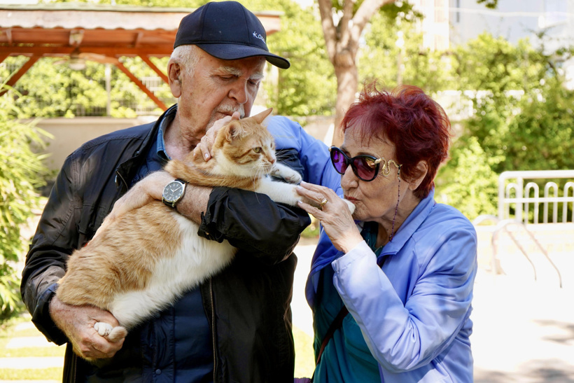 Eve hapsolan emeklinin imdadına bir sokak kedisi yetişti - Resim : 3