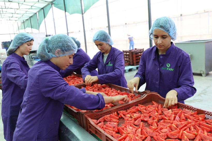 13-14 kilo domatesten sadece 1 kilo çıkıyor: Her yıl 40 bin ton üretiliyor - Fotoğraf: 5