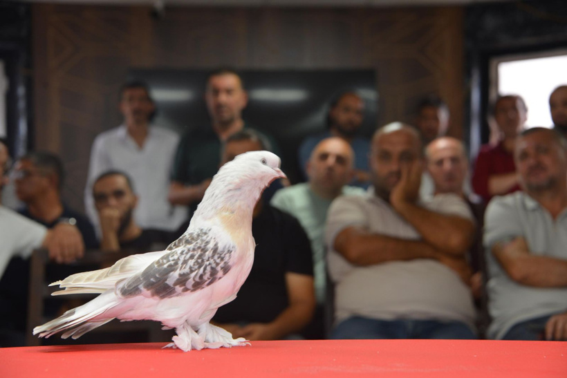 Bir ev parasına satılıyor! 200 tanesi Erzurum'da podyuma çıktı - Fotoğraf: 3