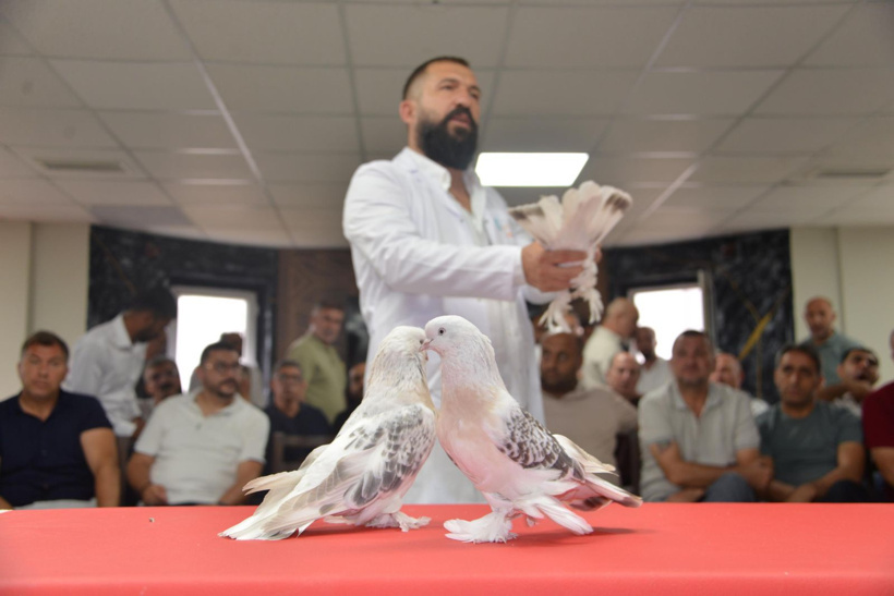 Bir ev parasına satılıyor! 200 tanesi Erzurum'da podyuma çıktı - Fotoğraf: 6