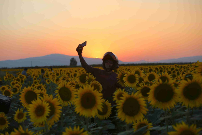 Tarlalar sarıya boyandı görenler hayran kaldı! Fotoğrafçıların yeni gözdesi - Fotoğraf: 6