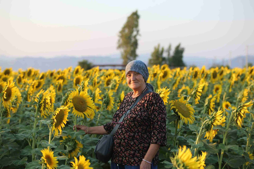 Tarlalar sarıya boyandı görenler hayran kaldı! Fotoğrafçıların yeni gözdesi - Fotoğraf: 3