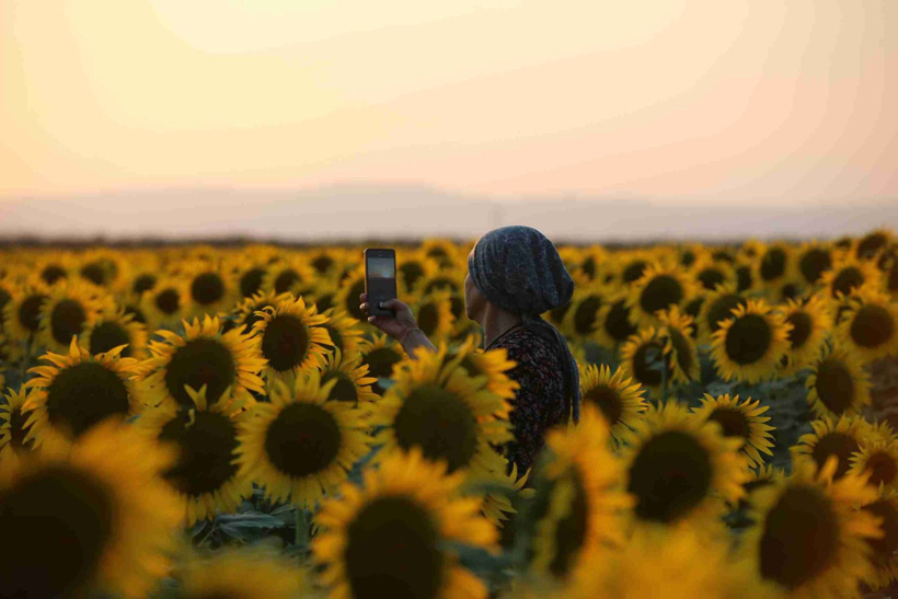 Tarlalar sarıya boyandı görenler hayran kaldı! Fotoğrafçıların yeni gözdesi - Fotoğraf: 4