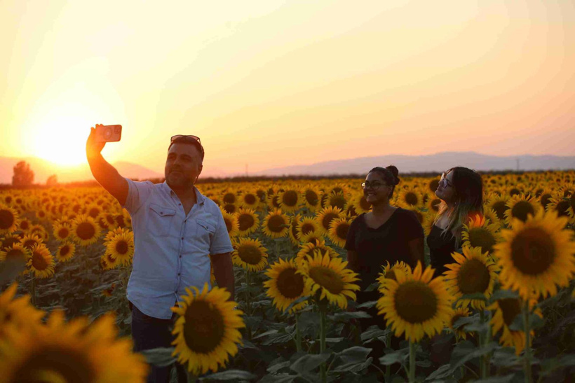 Tarlalar sarıya boyandı görenler hayran kaldı! Fotoğrafçıların yeni gözdesi - Fotoğraf: 5