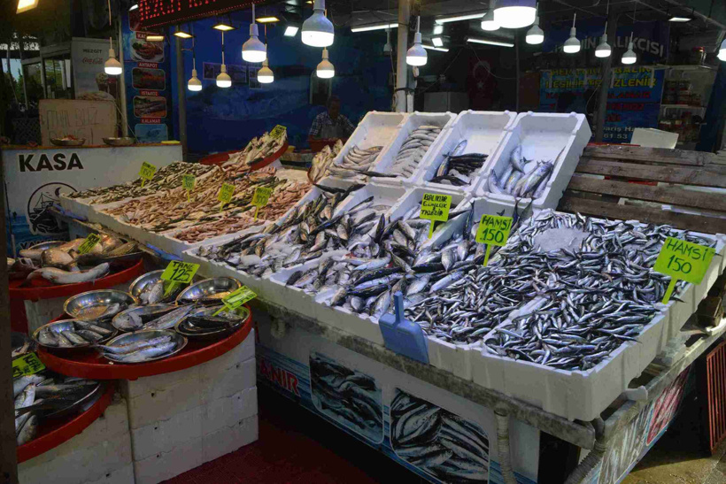Balık sezonu açıldı tezgahlar doldu! 'Her çeşit var' dedi fiyatları tek tek açıkladı - Fotoğraf: 6