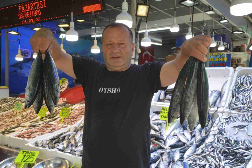 Balık sezonu açıldı tezgahlar doldu! 'Her çeşit var' dedi fiyatları tek tek açıkladı - Fotoğraf: 2