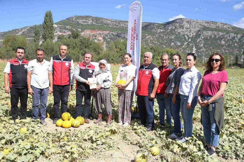 Sofraların kışlık lezzeti tarladan toplanmaya başladı - Resim : 3