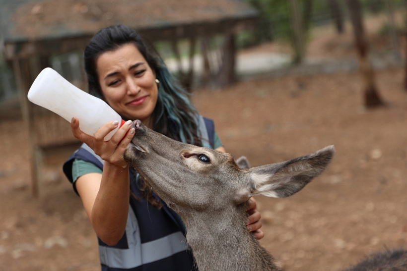 Doğada ölüme terk edilmişti: Yaşasın diye adı 'Yaşarcan' oldu - Fotoğraf: 5