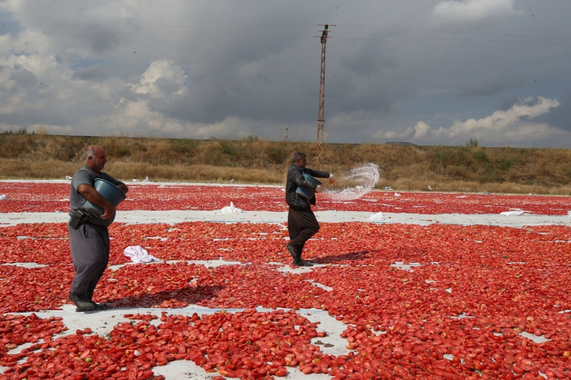 Erciyes'in eteklerinde kurutuluyor: 10 ülke birden sipariş yağdırdı - Fotoğraf: 6