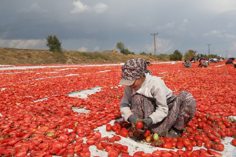Erciyes'in eteklerinde kurutuluyor: 10 ülke birden sipariş yağdırdı - Fotoğraf: 5