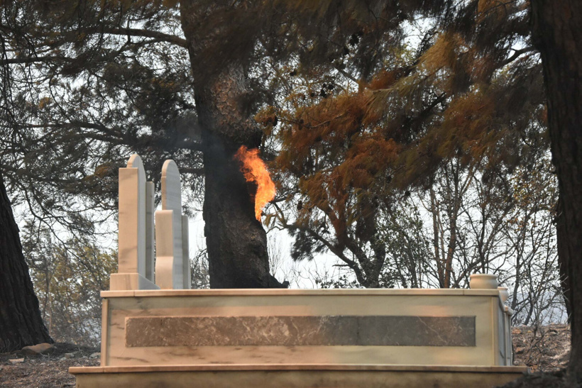 dha-c9e23cbcdbf1d22c1f283e0b9b98924a-2.jpg