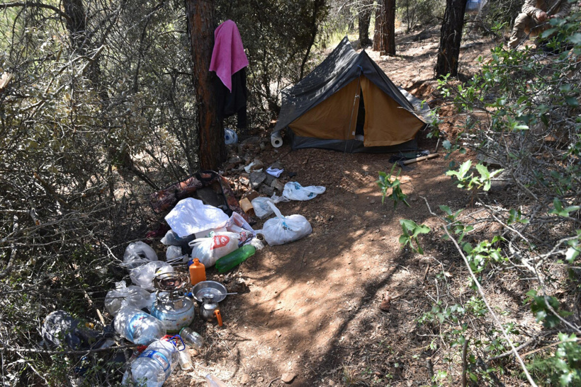 yakalanmamak-icin-dagda-yasayip-ayi-kap-800528-236986.jpg