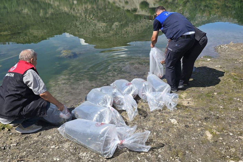 Poşet poşet getirip doğaya saldılar: Hayırlı olsun - Resim : 3