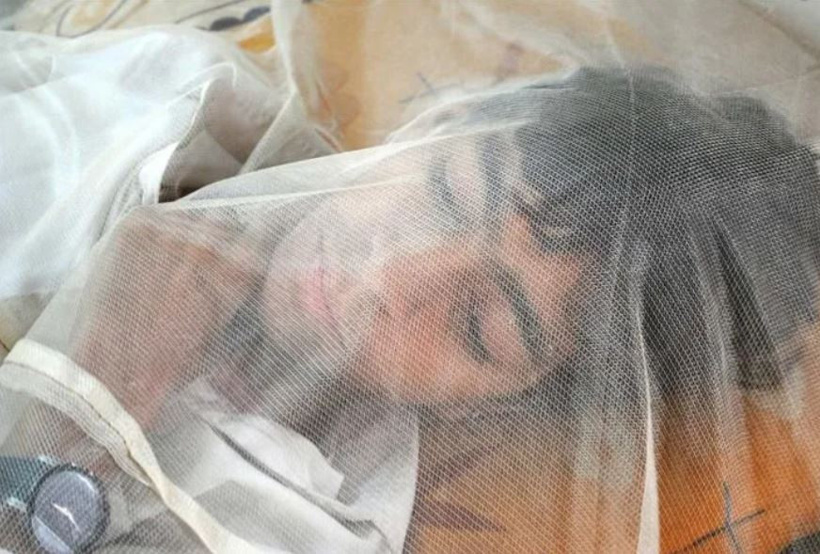 Komşuda korkutan Batı Nil virüsü alarmı! Sivrisineklerden bulaşıyor, vaka sayısı katlandı - Resim : 1