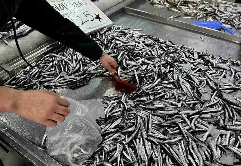 aa-20241124-36277147-36277143-surdurulebilir-balikcilik-icin-kucuk-boydaki-baliklari-avlamayin-uyarisi-11zon.jpg