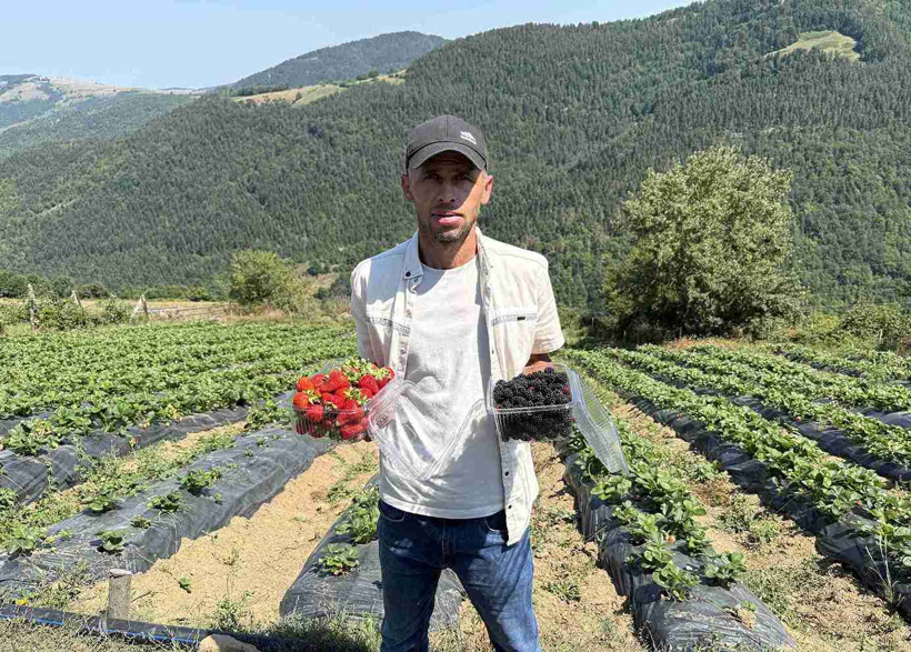 1000 rakımda denediler ilk sonuçlar şaşırttı: Yeni gelir kapısı oldu - Resim : 2