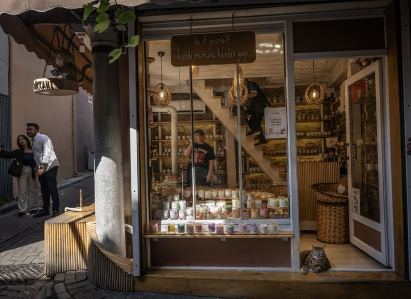 İstanbul'un gerçek sahipleri: Sokak kedileri şehri pati pati fethetti - Fotoğraf: 5