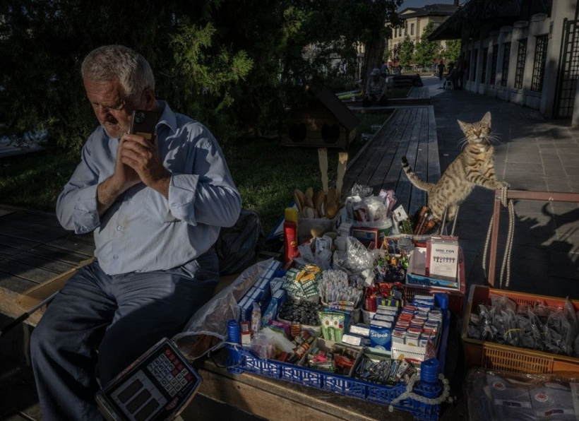 İstanbul'un gerçek sahipleri: Sokak kedileri şehri pati pati fethetti - Fotoğraf: 15