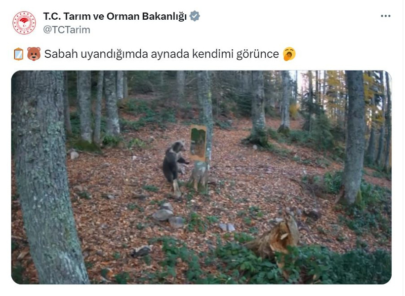 bartin-ayinin-ormana-yerlestirilen-aynay-408067-120228.jpg